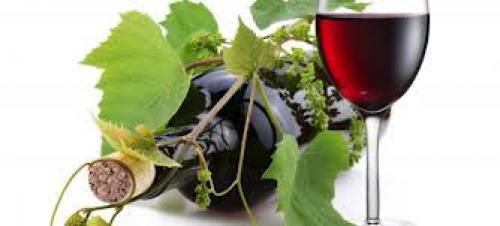 Редкие сорта винограда италии. Самые итальянские сорта винограда.