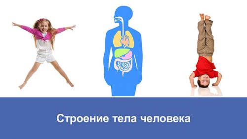 Как себя чувствуют те, кто вылечился от коронавируса 03