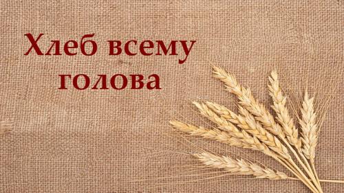 Как себя чувствуют те, кто вылечился от коронавируса 05