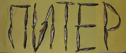 Разные фестивали в России. Необычные фестивали в России