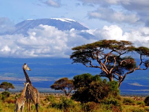 Супервулканы земли список. Кальдеры-супервулканы 10