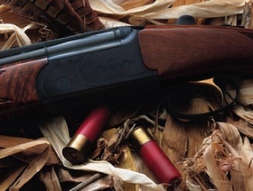 Современное стрелковое оружие. Оружие. Мировое оружие