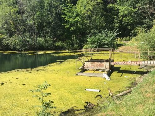 Озера с голубой водой в ленинградской области. Две жемчужины Ленобласти, одну загадили, про другую забыли.