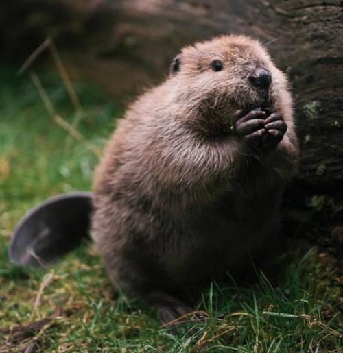 Как себя чувствуют те, кто вылечился от коронавируса 02