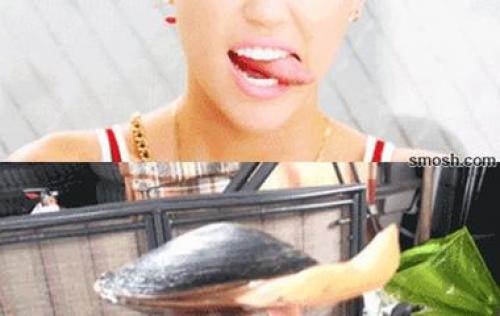 Разные фестивали в разных странах. Крупнейшие всемирные фестивали, на которых стоит побывать хоть раз в жизни