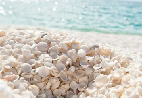 Географические явления это. 7 уникальных природно-географических явлений