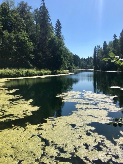 Озера с голубой водой в ленинградской области. Две жемчужины Ленобласти, одну загадили, про другую забыли.