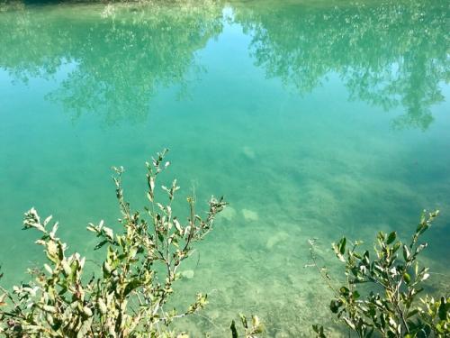 Озера с голубой водой в ленинградской области. Две жемчужины Ленобласти, одну загадили, про другую забыли.