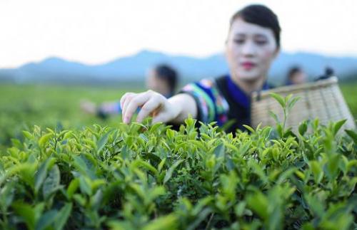 Найдено лекарство от коронавируса? Какие лекарства нужно иметь дома для защиты от коронавируса 03