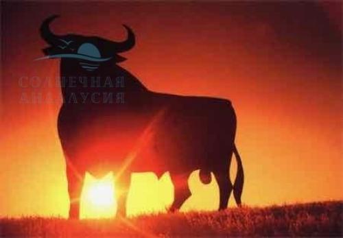 В Испании коррида запрещена. Из-за коронавируса в Испании отменили 21 корриду, что спасло 120 быков 10