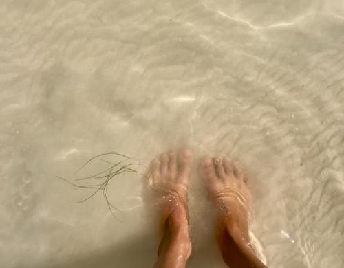 Озера с голубой водой в ленинградской области. Две жемчужины Ленобласти, одну загадили, про другую забыли.