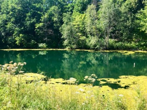 Озера с голубой водой в ленинградской области. Две жемчужины Ленобласти, одну загадили, про другую забыли.