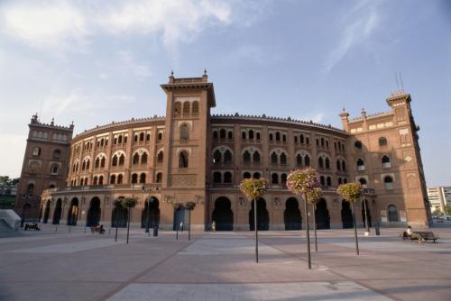 В Испании коррида запрещена. Из-за коронавируса в Испании отменили 21 корриду, что спасло 120 быков 04