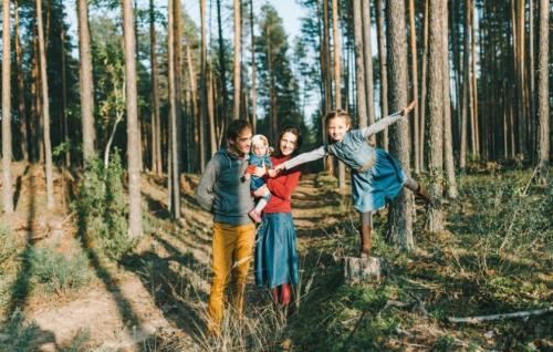 Какой лес самый полезный для здоровья. Применение сосны, её польза и вред
