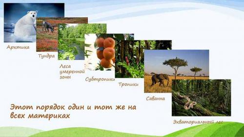 Как себя чувствуют те, кто вылечился от коронавируса 01