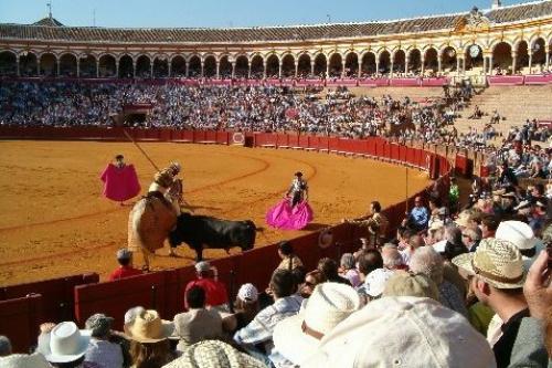 В Испании коррида запрещена. Из-за коронавируса в Испании отменили 21 корриду, что спасло 120 быков 07
