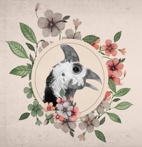 Разные фестивали в России. Необычные фестивали в России