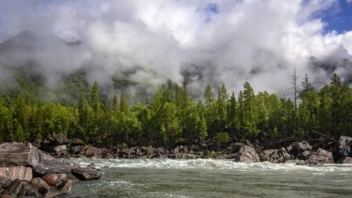 Леса самые большие. Самые большие по площади леса: удивительные фотографии