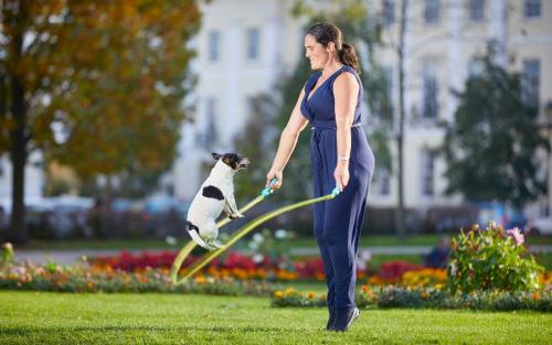 Гиннесс мировые рекорды 2019. Книга рекордов Гиннесса – 2019 в картинках