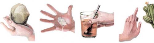 Обоняние у человека интересные факты. Факты о запахах и обонянии 13