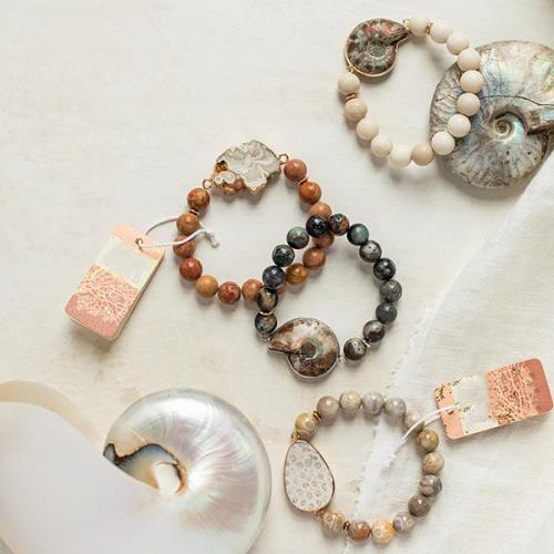 Аммониты головоногие. Камни-аммониты: что это такое