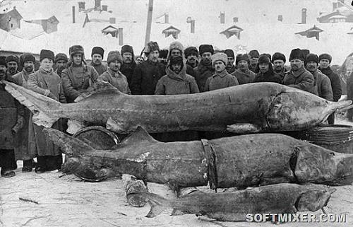 Интересные факты в истории России. 