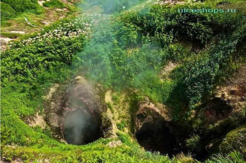 Самый большой гейзер камчатки. Самые знаменитые и большие гейзеры на Камчатке