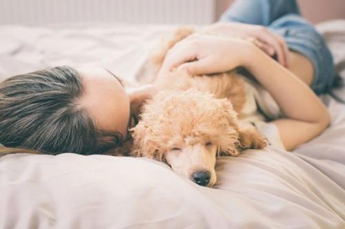 Все интересное о шахматах. Шахматы — интересные факты 05