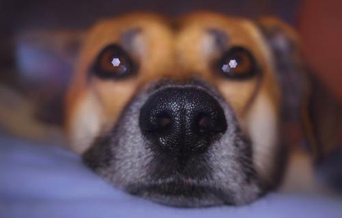 Все интересное о шахматах. Шахматы — интересные факты 01