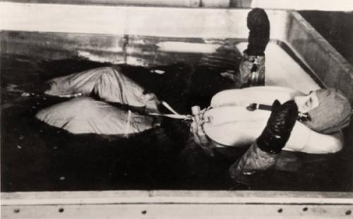 Невероятные факты. Интересные факты, которые удивят и шокируют вас