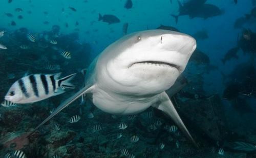 Самые опасные пляжи. 05