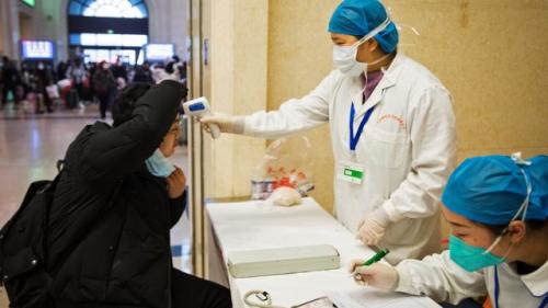 Симптомы коронавируса у человека 2020. Симптомы коронавируса 2020 года у человека: самые важные признаки 14