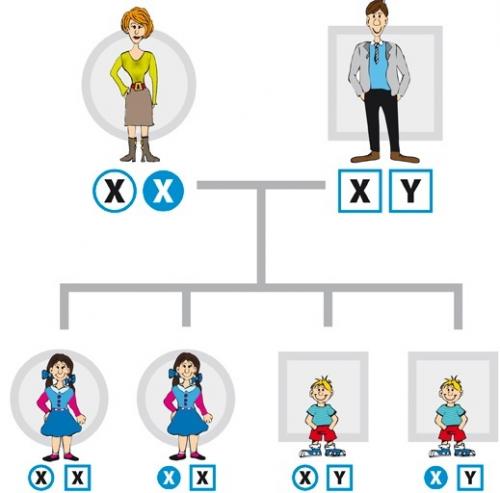 Дальтонизм у женщин. Могут ли женщины быть дальтониками? 