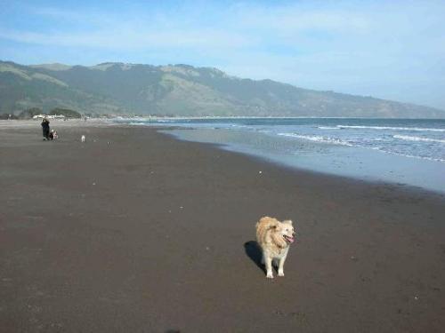 Самые опасные пляжи. 02