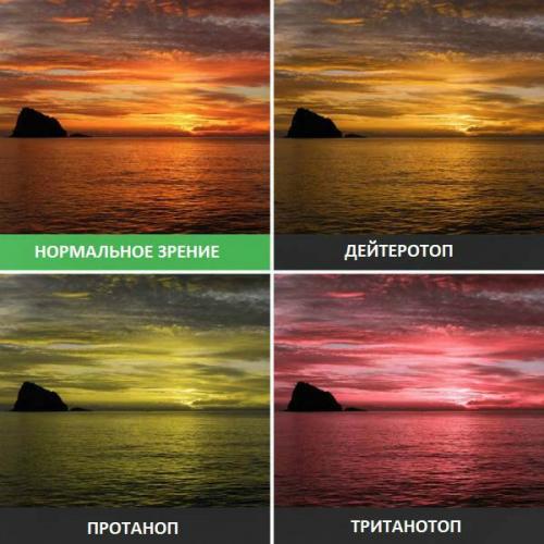 Дальтонизм у детей. Как выявить дальтонизм у детей: простые тесты, признаки и возможное лечение