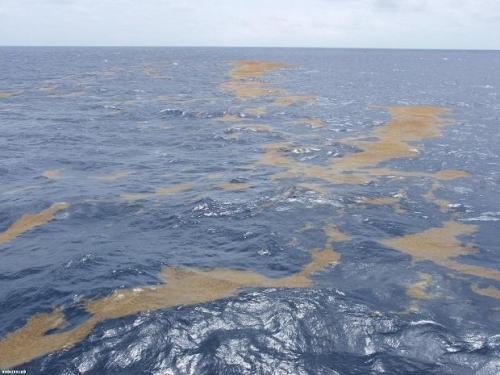 Самые опасные моря для судоходства. ТОП-5 самых опасных мест мирового океана