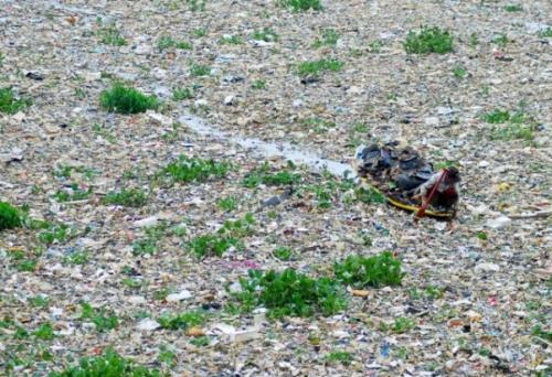 Самые опасные пляжи. 10