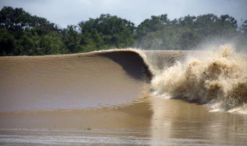 Амазонки интересные факты. Основное меню 05