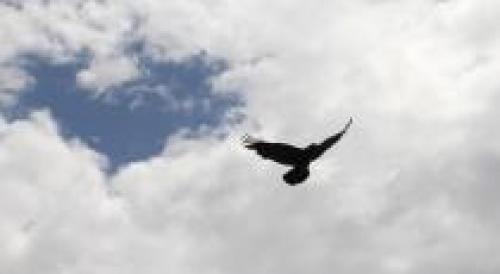 Самые страшные истории. Реальные истории — мистические, жуткие и страшные истории