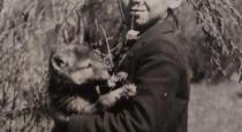 Самые страшные истории. Реальные истории — мистические, жуткие и страшные истории