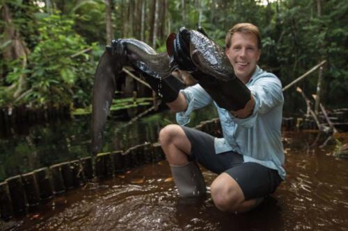 Амазонки интересные факты. Основное меню 02