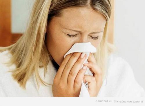 Обоняние интересные факты. Факты об обонянии 15