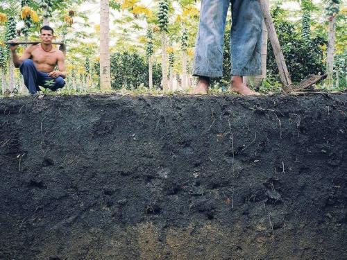 Амазонки интересные факты. Основное меню 06