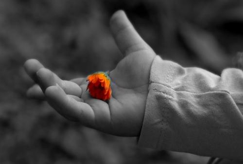 Интересные факты о осязании. Органы чувств человека — интересные факты