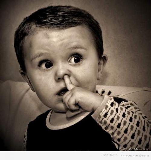 Обоняние интересные факты. Факты об обонянии 11