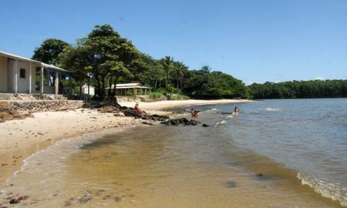 Интересные факты о амазонке. Что мы знаем о реке Амазонка 24