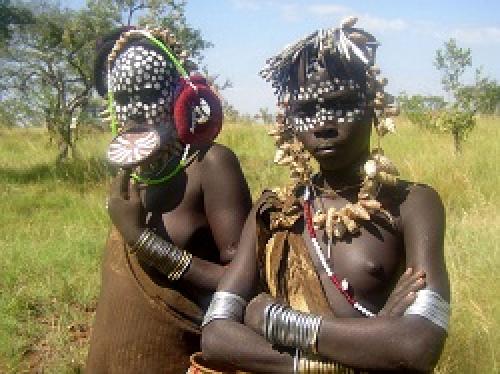 Интересные факты об обонянии человека для детей. Факты о запахах и обонянии