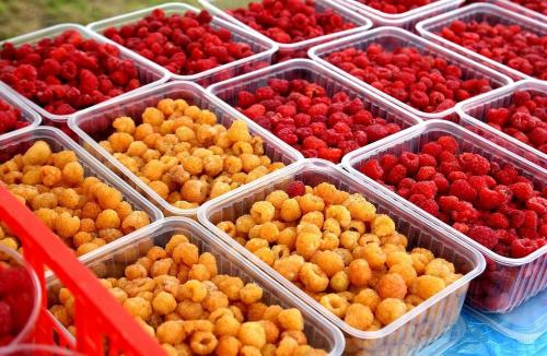 Какие бывают фестивали в России. Топ-12 самых вкусных фестивалей России