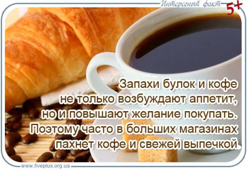 Интересные факты об обонянии человека для детей. Факты о запахах и обонянии