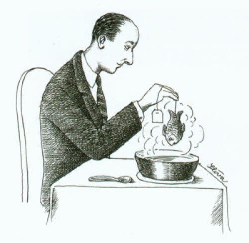 Цитаты про еду с юмором. О ЕДЕ С ЮМОРОМ